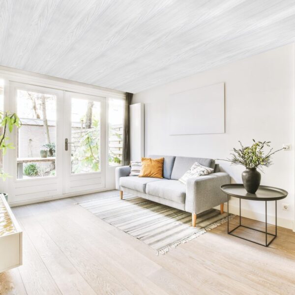 Cielo Raso Pvc